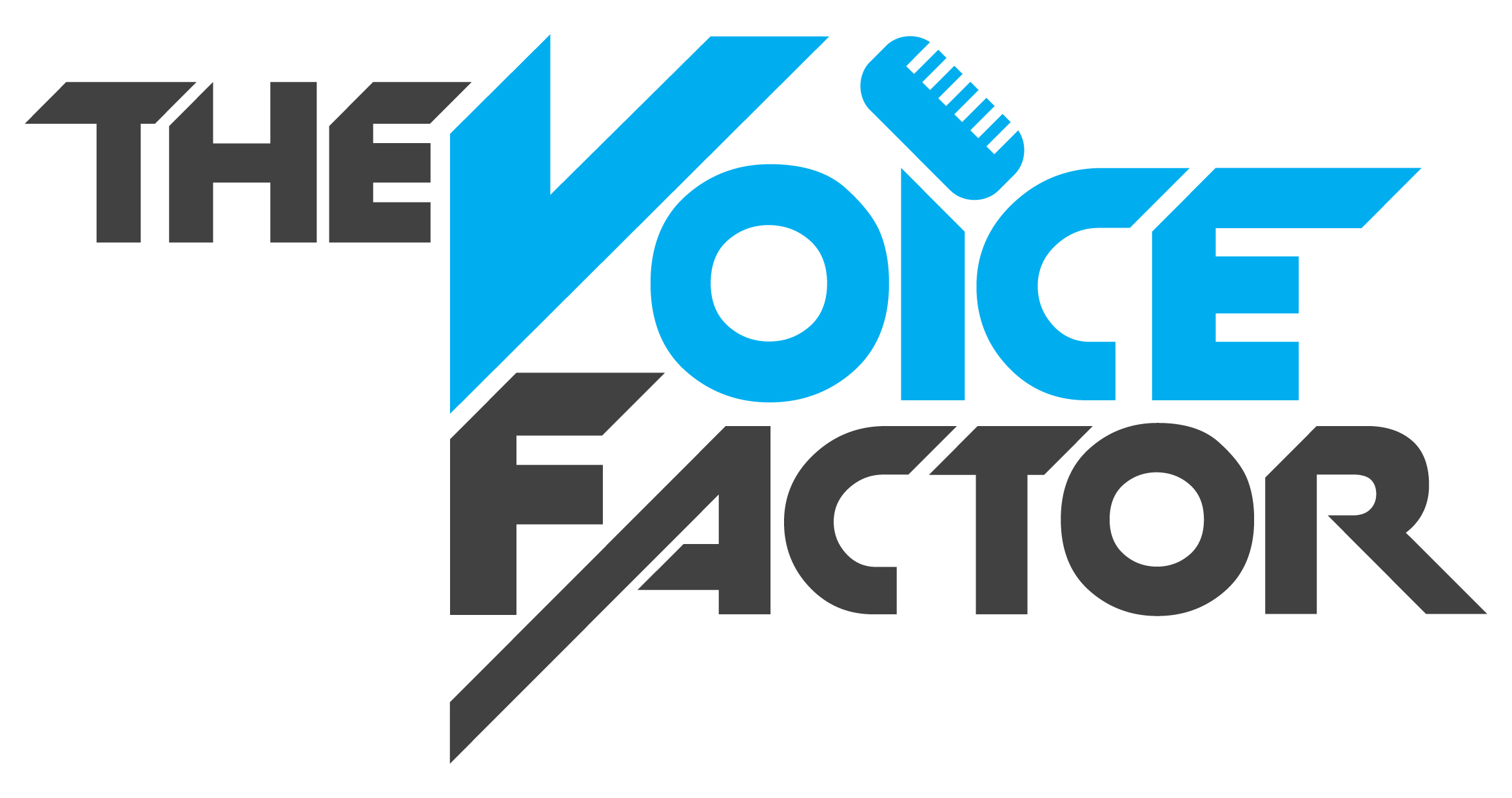Dene Menzel - The Voice Factor